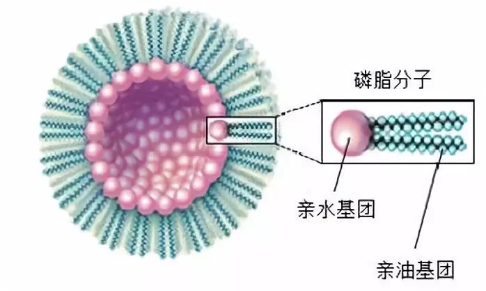 表面活性劑